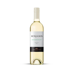 Vino Sauvignon Blanc Benjamín Nieto 750 cc